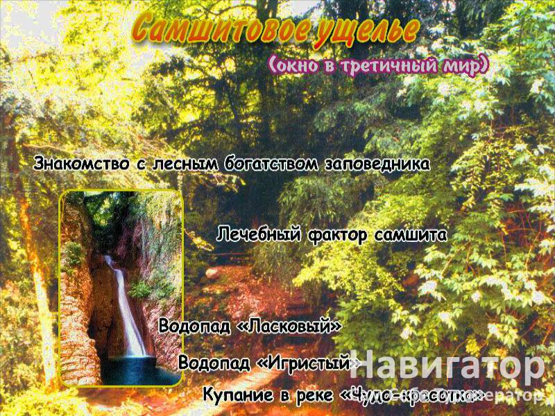 БУРЕВЕСТНИК - пансионат в Курортные поселки Лазаревского района