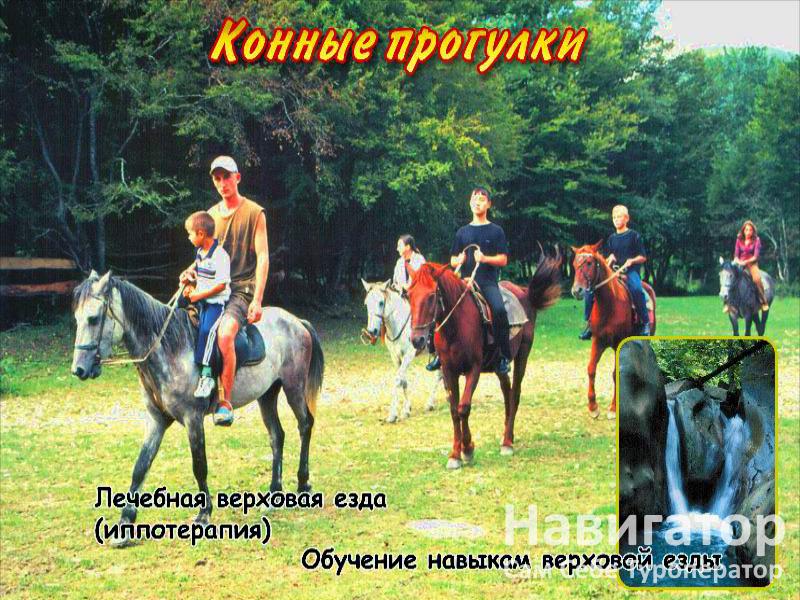 БУРЕВЕСТНИК - пансионат в Курортные поселки Лазаревского района