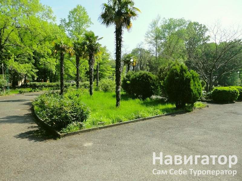 БУРЕВЕСТНИК - пансионат в Курортные поселки Лазаревского района