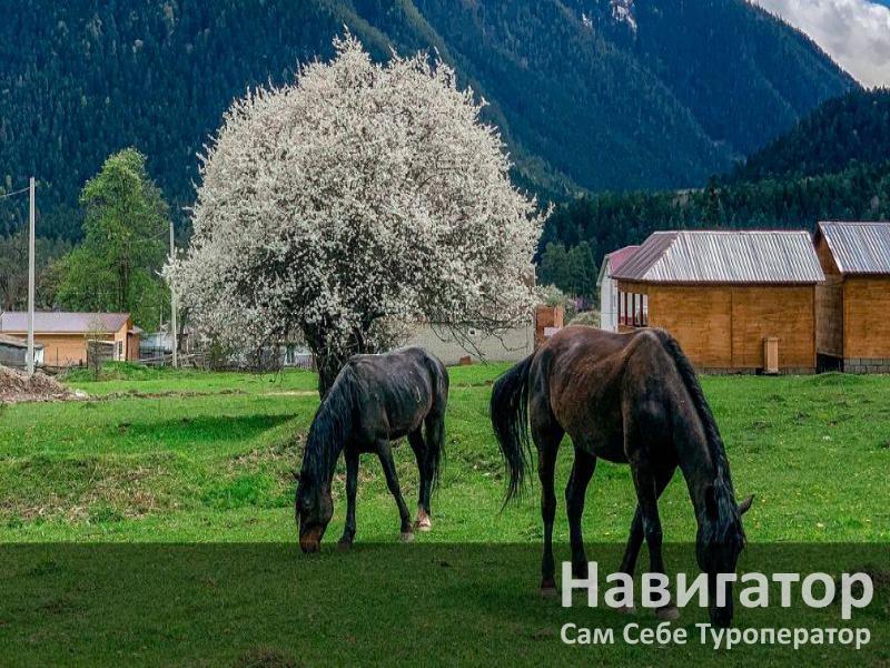 ГОРНАЯ РОЗА- отель в Архыз
