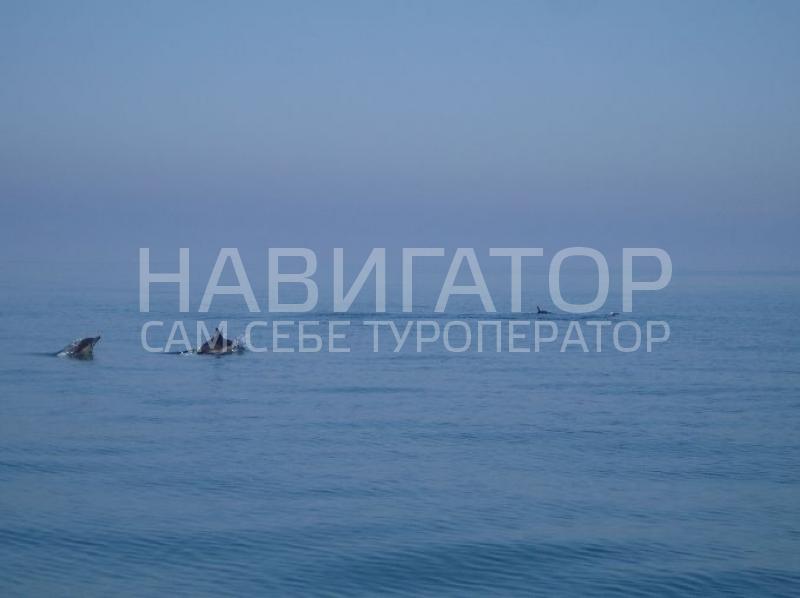 БЕЛЫЕ СКАЛЫ - гостиница в Цандрыпш пос.