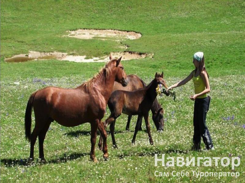 АУАДХАРА - пансионат в Гагра