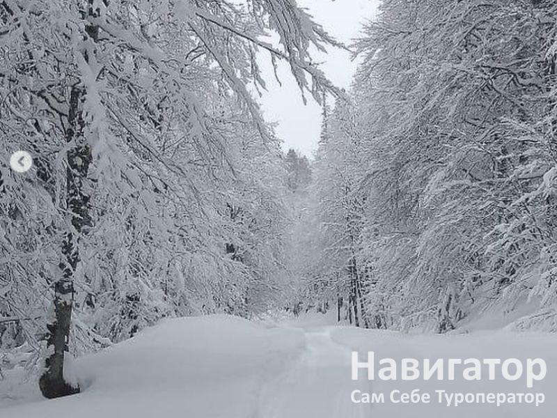 АУАДХАРА - пансионат в Гагра