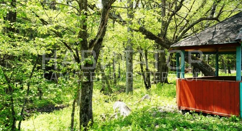 ТЕПЛЫЙ КЛЮЧ - база отдыха в Горячие источники