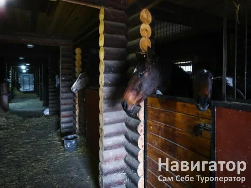 ГРИНЛАНДИЯ - база отдыха в Северский район