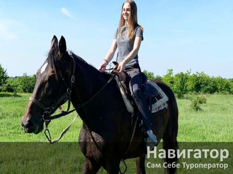 В ГОСТЯХ У ПАВЛИНА - база отдыха в Северский район