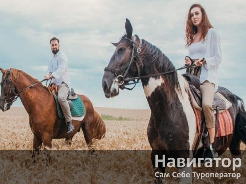 В ГОСТЯХ У ПАВЛИНА - база отдыха в Северский район