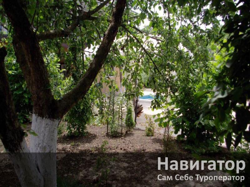 В ГОСТЯХ У ПАВЛИНА - база отдыха в Северский район
