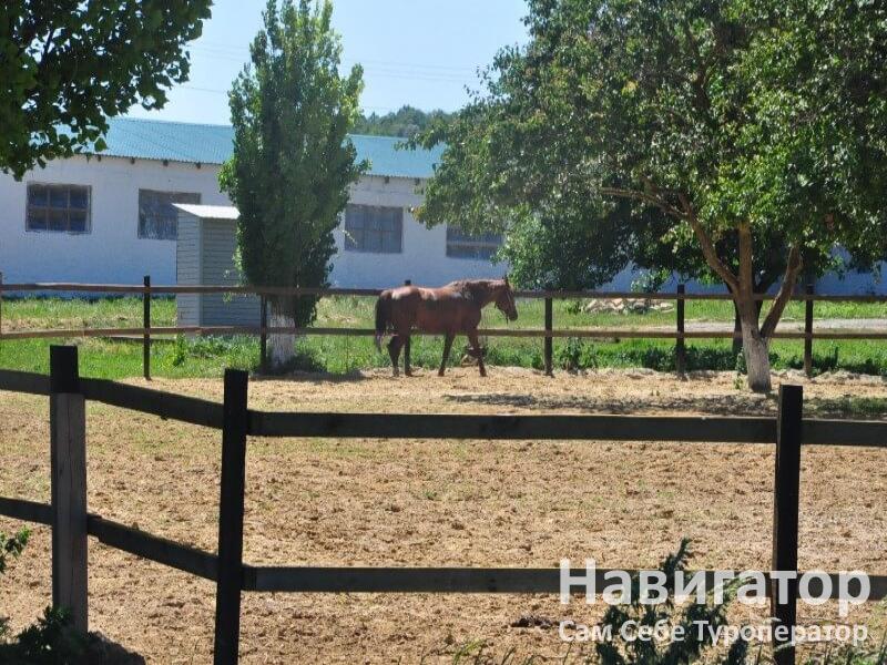 СЕМЕНОВСКИЙ ПРУД - база отдыха в Крымский район