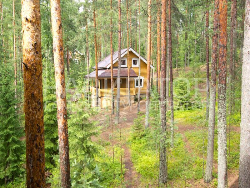ЖУРАВУШКА - база отдыха в Санкт-Петербург