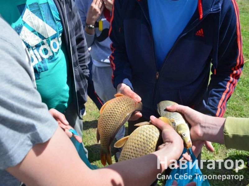 НА ЧЕРКЕССКОМ ТРАКТЕ - загородный комплекс в Хутора и поселки Ставропольского края
