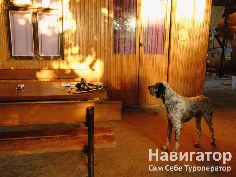 Гостевой дом в Цандрипше в Цандрыпш пос.