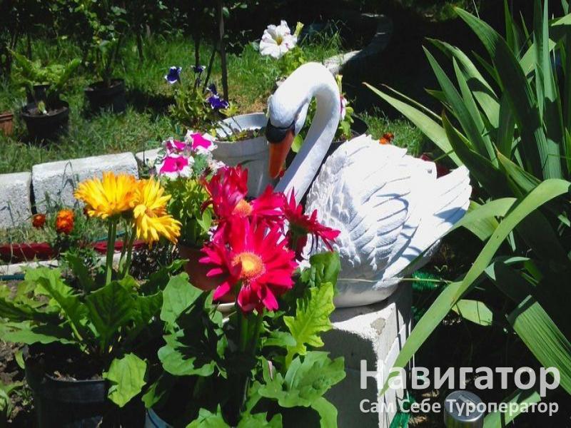 АССОЛЬ - гостевой дом в Кучугуры