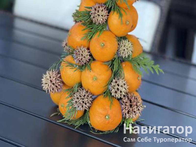 БАБУЦА - гостевой дом в Гагра