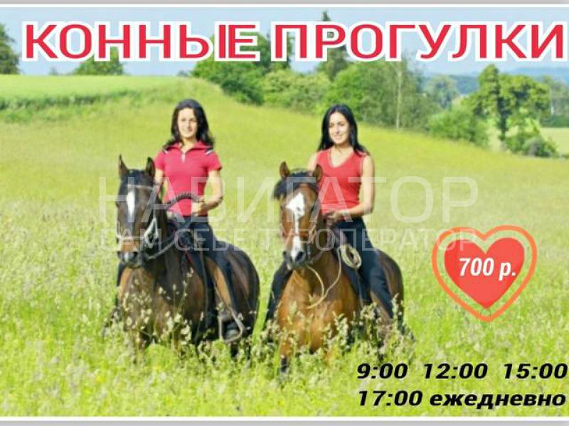 БАБУЦА - гостевой дом в Гагра