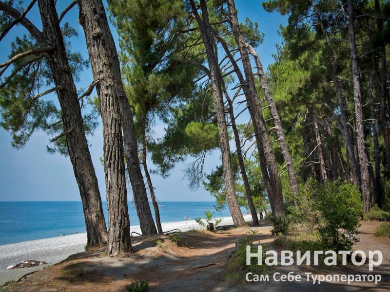 КУРОРТ ПИЦУНДА - объединение пансионатов в Пицунда