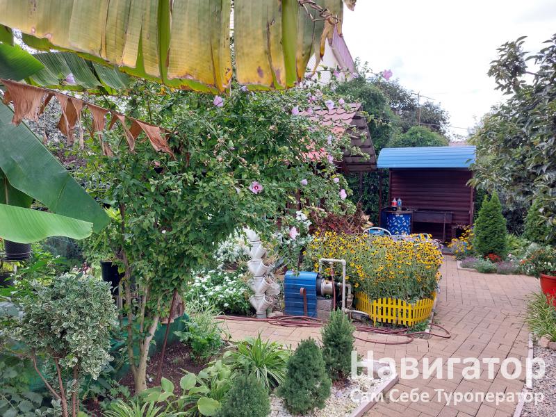 ЧАЙКА - гостевой дом в Нижне-Имеретинская бухта