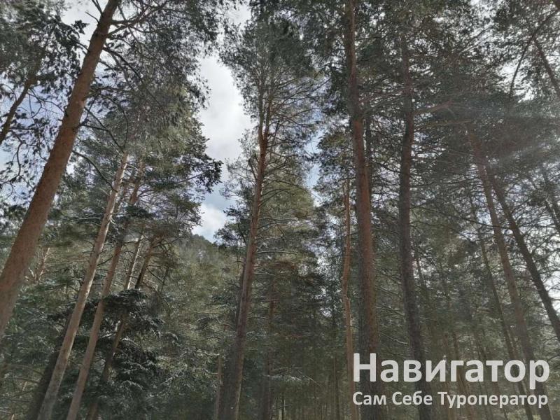 МАРАЛ - мини-отель в Эльбрус