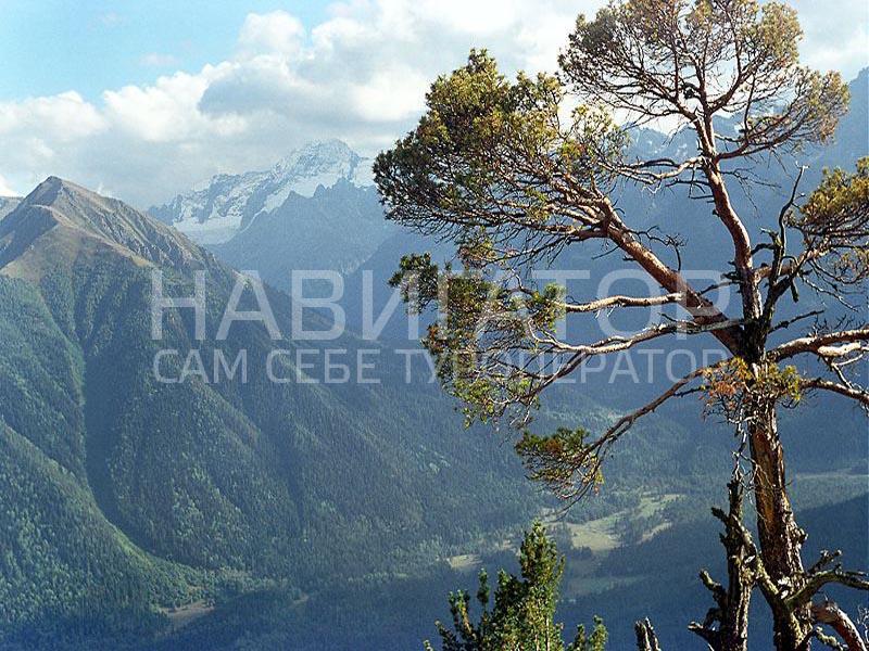 АРХЫЗ-СИТИ - база отдыха в Архыз