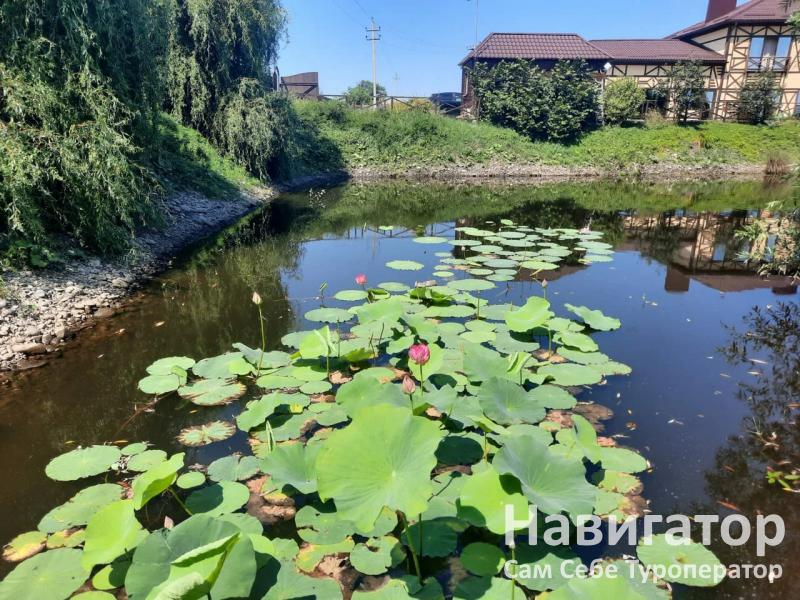 ВЕНЕРА - база отдыха в Мостовской район