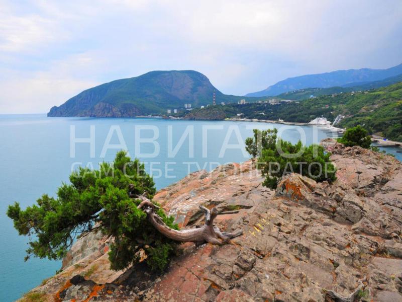 VILLA AL MARINE - гостиница в Алушта