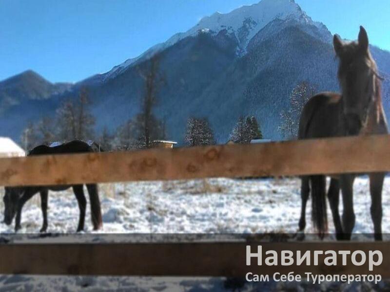 ЧИНАР - база отдыха в Архыз