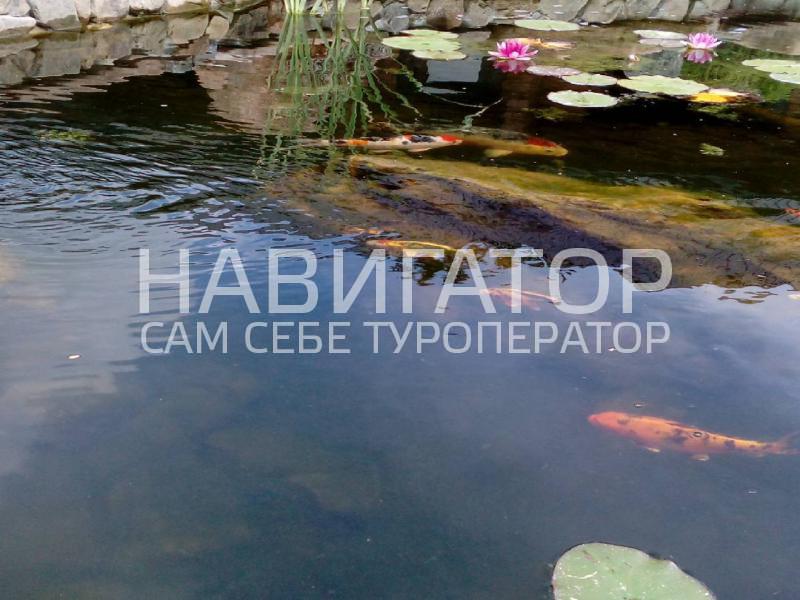 УСАДЬБА ПАПЫ КАРЛО - база отдыха в Динской район