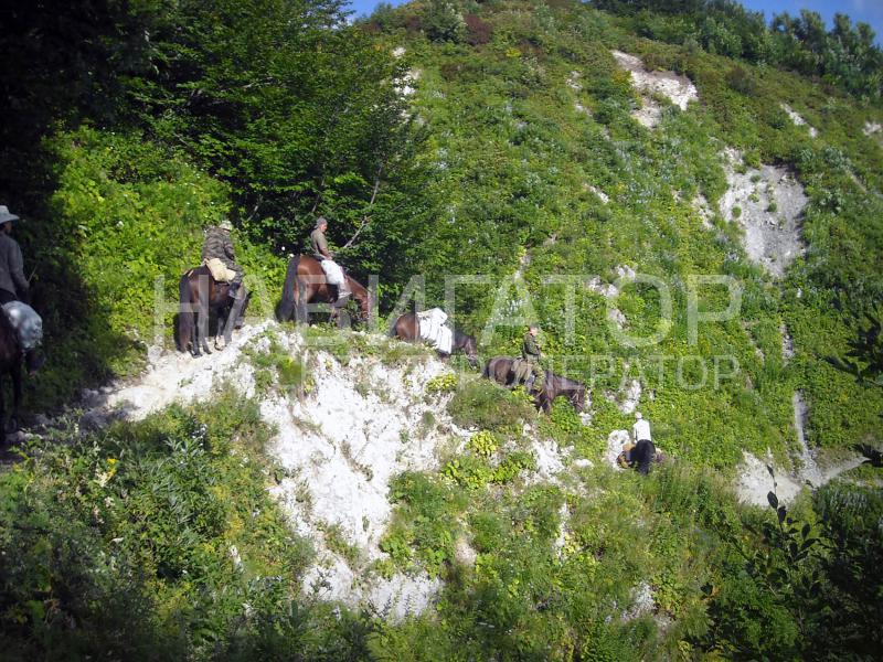 Конные прогулки в Архызе! в Архыз