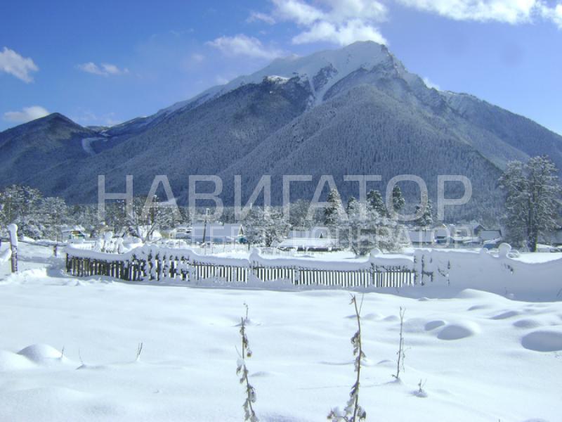 Конные прогулки в Архызе! в Архыз