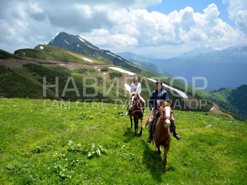 Конные прогулки в Архызе! в Архыз