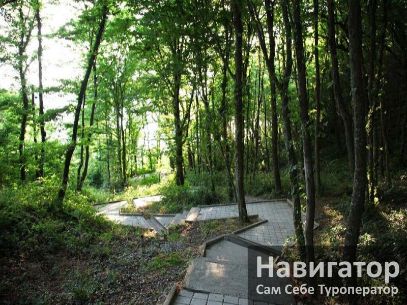 АНАСТАСИЯ - база отдыха в Курортные поселки Туапсе