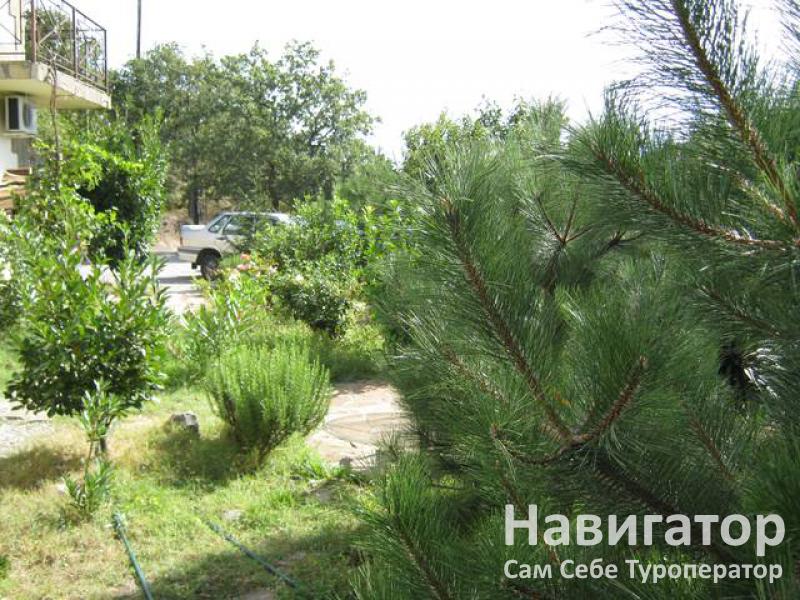 ЧЕРНОЕ МОРЕ - гостевой дом в Алупка