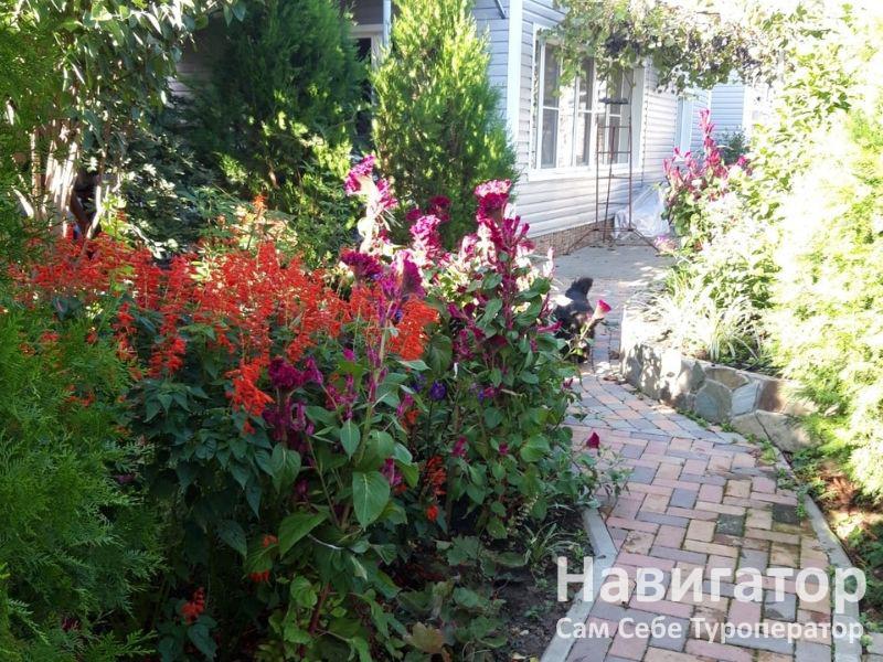 ЕЛЕНА - гостевой дом в Село Великовечное