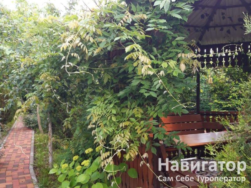 ЕЛЕНА - гостевой дом в Село Великовечное