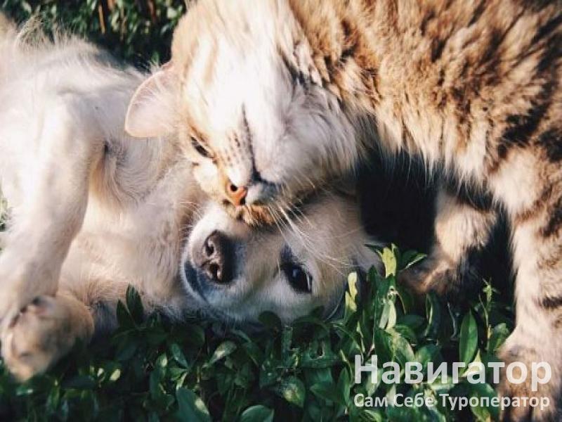АЛЛЮР- пансионат в Архыз