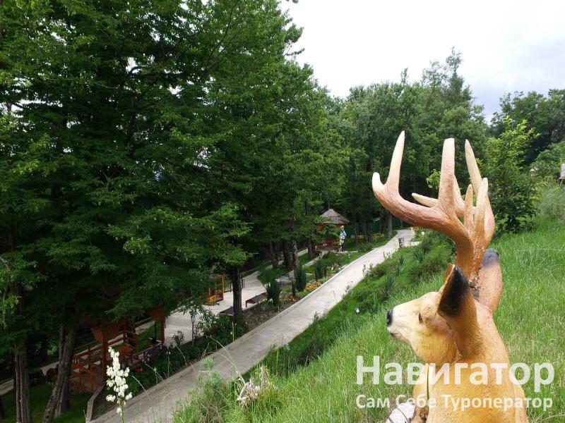 АНДРИАНОВА - отель в Курортные поселки Лазаревского района