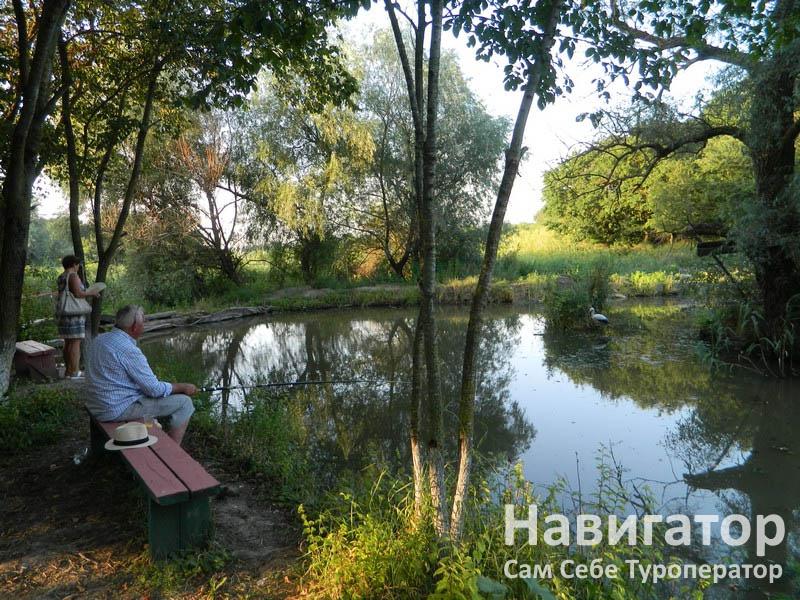 ЭКО ФЕРМА - туркомплекс в Курортные поселки Анапы