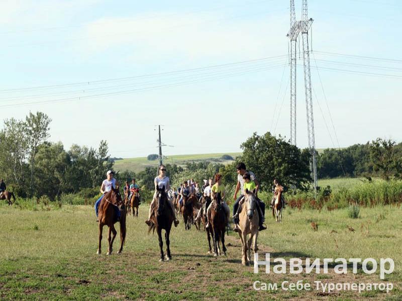 ЭКО ФЕРМА - туркомплекс в Курортные поселки Анапы