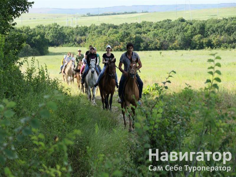 ЭКО ФЕРМА - туркомплекс в Курортные поселки Анапы