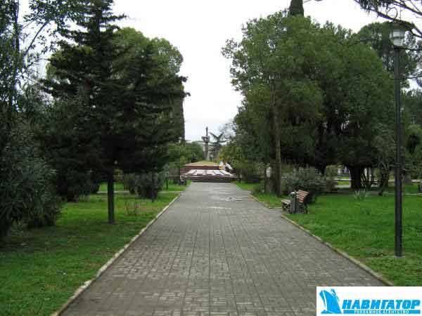 img_0223_6.jpg