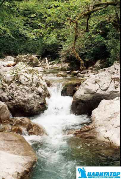 r001-001.jpg