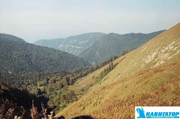r001-004_1.jpg