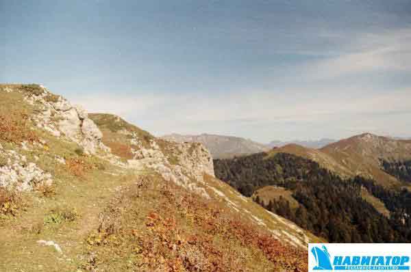 r001-006.jpg