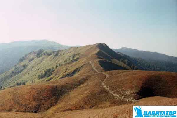 r001-008.jpg