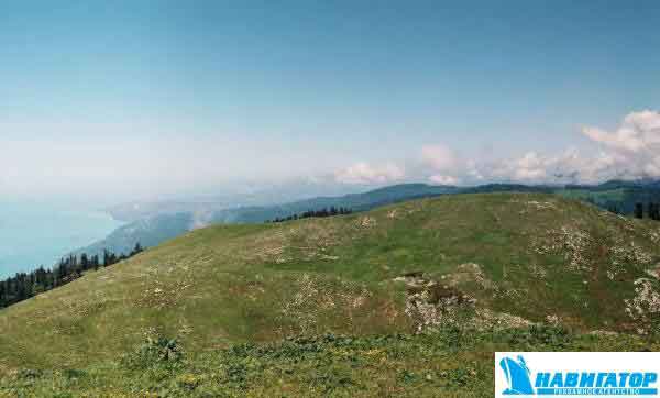 r001-020.jpg