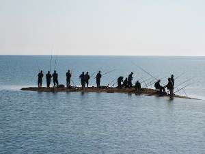 Рыбалка на Черном море